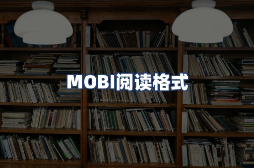 MOBI阅读格式